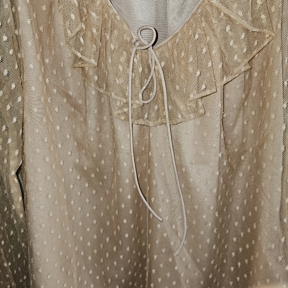 ☆J. CREW Ruffled Swiss Dot Blouse in 'Bronzed Clay,' M ☆ - Picture 3 of 7